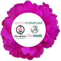 Grupo FLoraplant